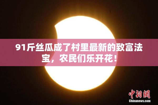91斤丝瓜成了村里最新的致富法宝，农民们乐开花！