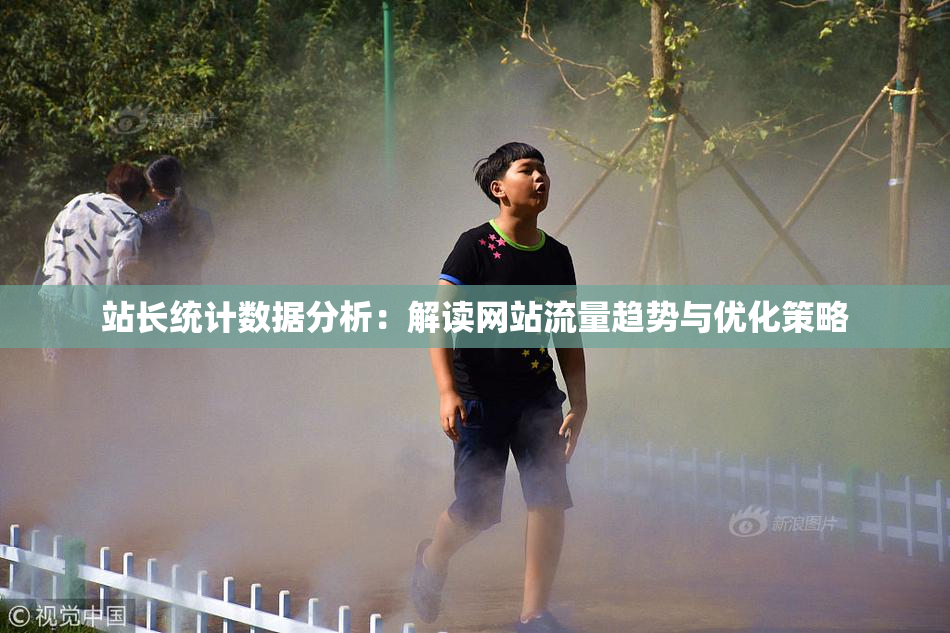 站长统计数据分析：解读网站流量趋势与优化策略