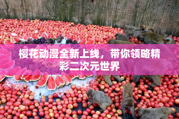 樱花动漫全新上线，带你领略精彩二次元世界