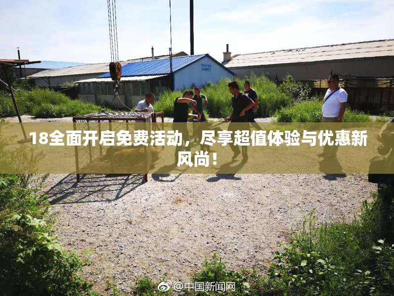 18全面开启免费活动，尽享超值体验与优惠新风尚！