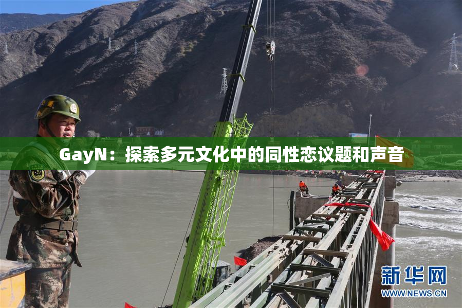 GayN：探索多元文化中的同性恋议题和声音