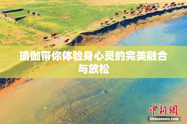 瑜伽带你体验身心灵的完美融合与放松
