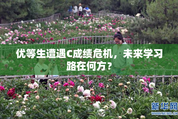 优等生遭遇C成绩危机，未来学习路在何方？