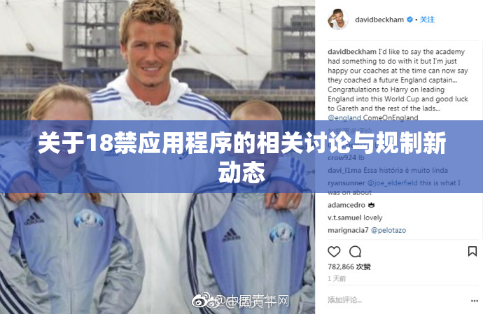 关于18禁应用程序的相关讨论与规制新动态