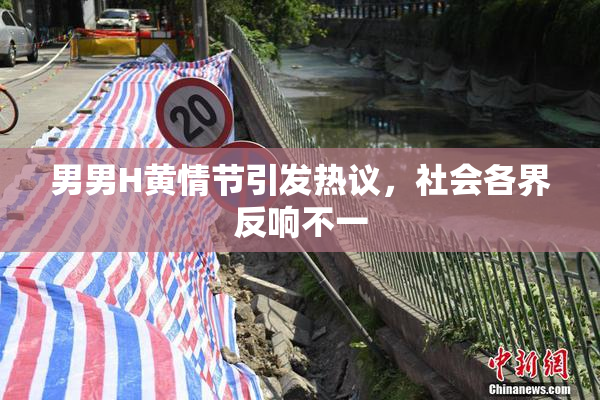 男男H黄情节引发热议，社会各界反响不一