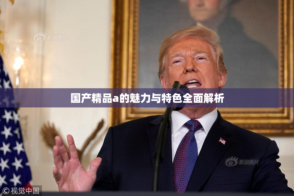 国产精品a的魅力与特色全面解析