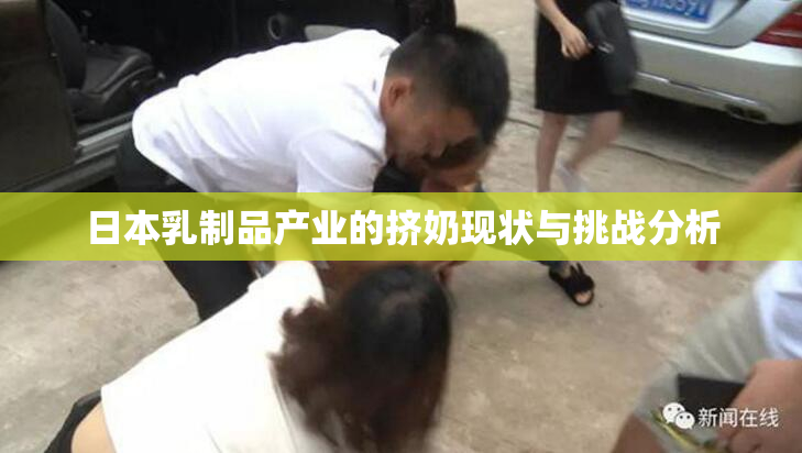 日本乳制品产业的挤奶现状与挑战分析