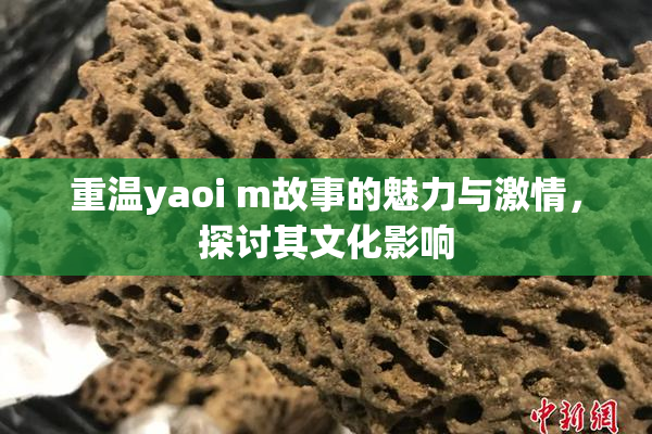 重温yaoi m故事的魅力与激情，探讨其文化影响