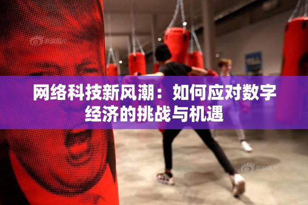 网络科技新风潮：如何应对数字经济的挑战与机遇