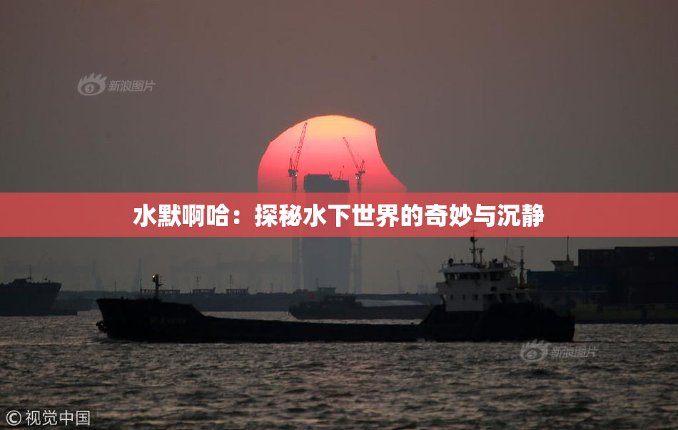 水默啊哈：探秘水下世界的奇妙与沉静
