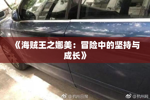 《海贼王之娜美：冒险中的坚持与成长》