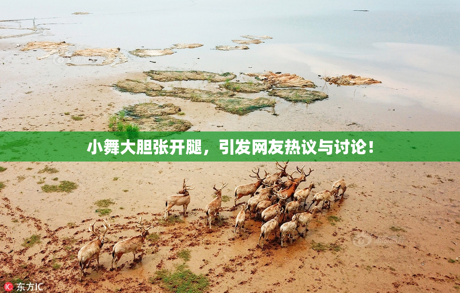 小舞大胆张开腿，引发网友热议与讨论！
