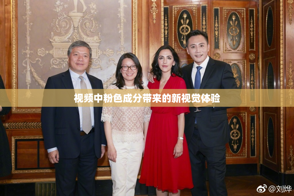 视频中粉色成分带来的新视觉体验
