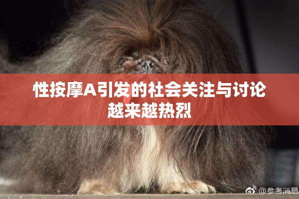 性按摩A引发的社会关注与讨论越来越热烈