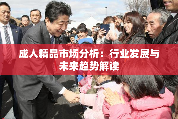 成人精品市场分析：行业发展与未来趋势解读