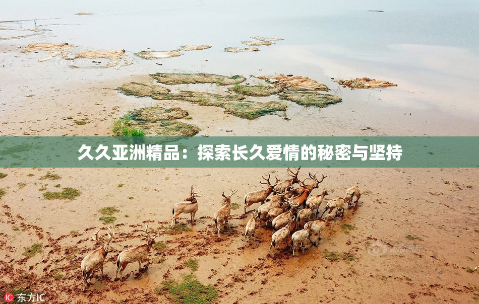 久久亚洲精品：探索长久爱情的秘密与坚持