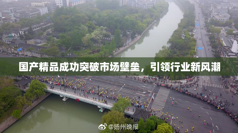 国产精品成功突破市场壁垒，引领行业新风潮