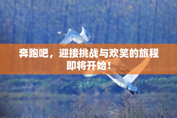 奔跑吧，迎接挑战与欢笑的旅程即将开始！