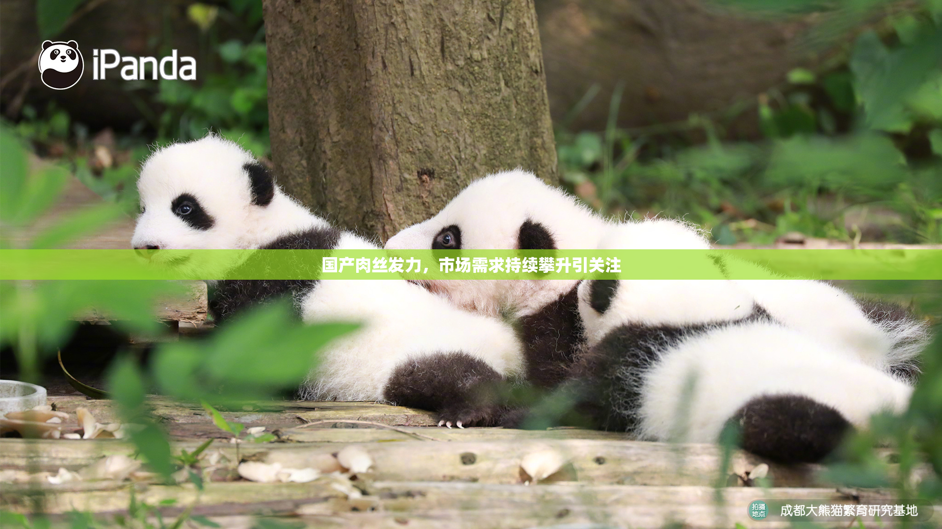 国产肉丝发力，市场需求持续攀升引关注