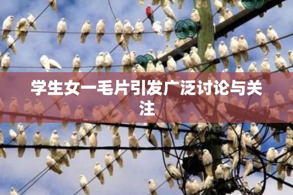 学生女一毛片引发广泛讨论与关注