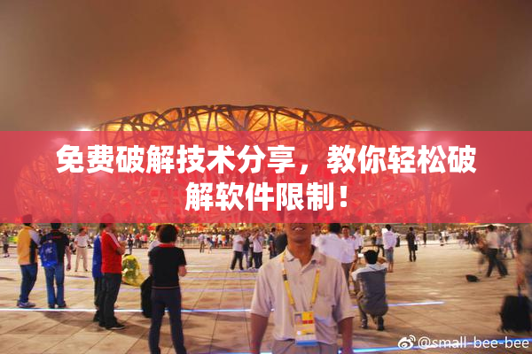 免费破解技术分享，教你轻松破解软件限制！