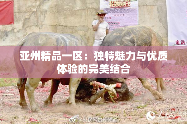 亚州精品一区：独特魅力与优质体验的完美结合