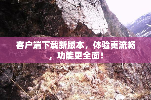 客户端下载新版本，体验更流畅，功能更全面！
