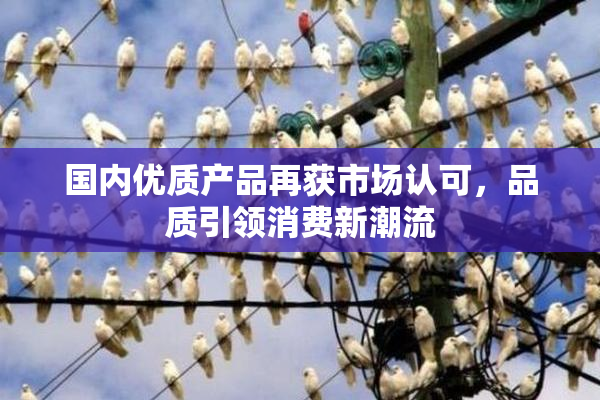 国内优质产品再获市场认可，品质引领消费新潮流
