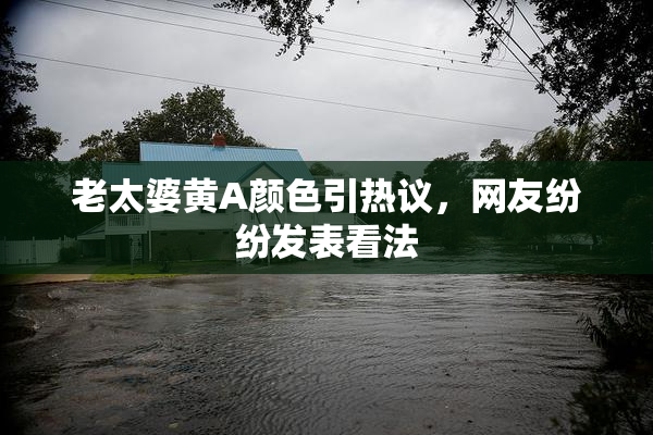 老太婆黄A颜色引热议，网友纷纷发表看法