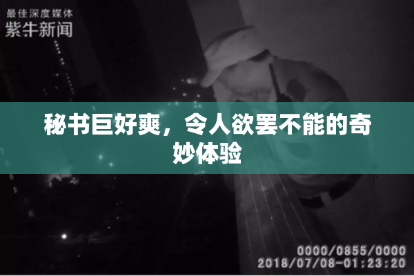 秘书巨好爽，令人欲罢不能的奇妙体验