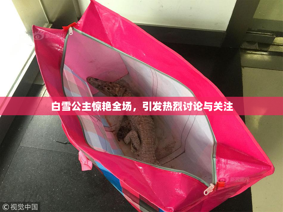 白雪公主惊艳全场，引发热烈讨论与关注