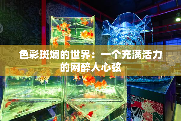 色彩斑斓的世界：一个充满活力的网醉人心弦