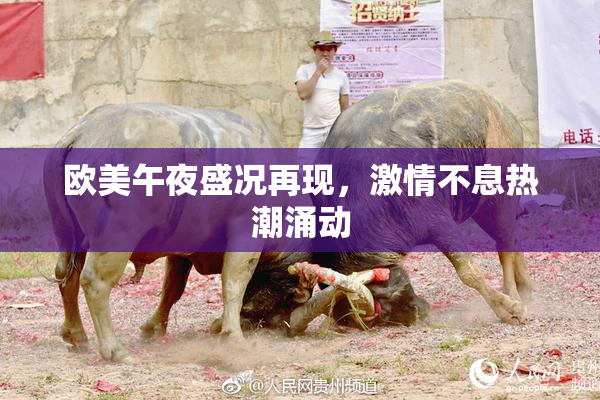欧美午夜盛况再现，激情不息热潮涌动