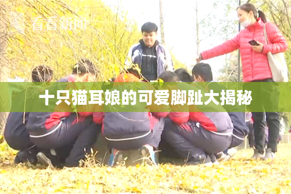 十只猫耳娘的可爱脚趾大揭秘