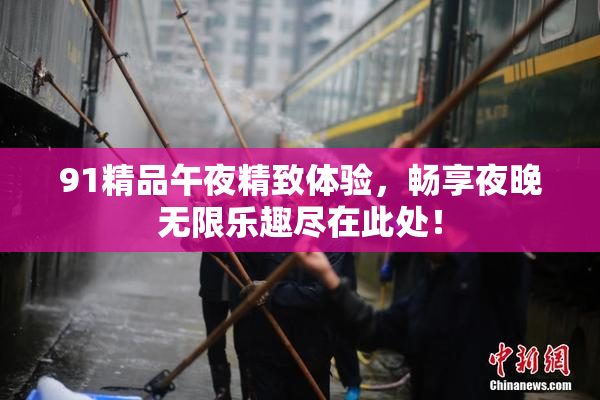 91精品午夜精致体验，畅享夜晚无限乐趣尽在此处！