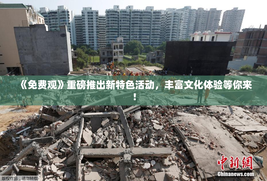 《免费观》重磅推出新特色活动，丰富文化体验等你来！
