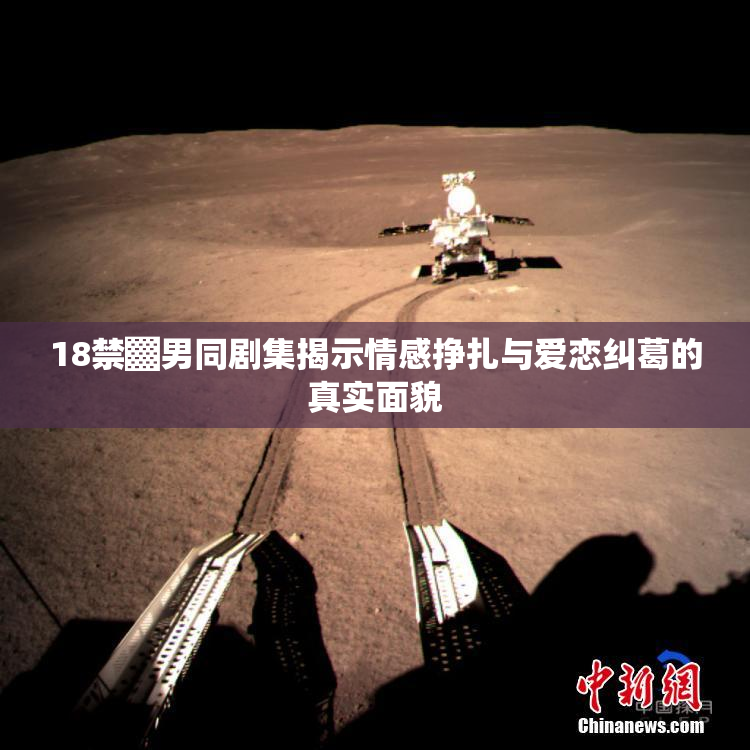 18禁▓男同剧集揭示情感挣扎与爱恋纠葛的真实面貌