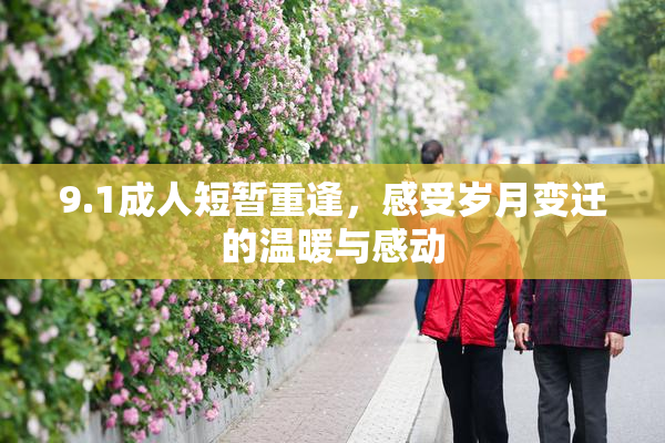 9.1成人短暂重逢，感受岁月变迁的温暖与感动