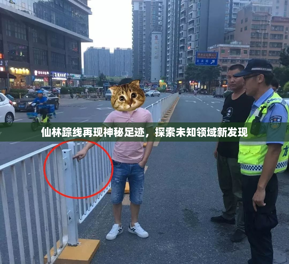 仙林踪线再现神秘足迹，探索未知领域新发现