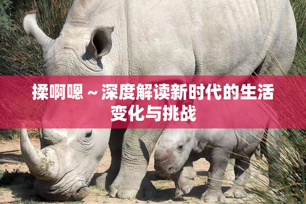 揉啊嗯～深度解读新时代的生活变化与挑战