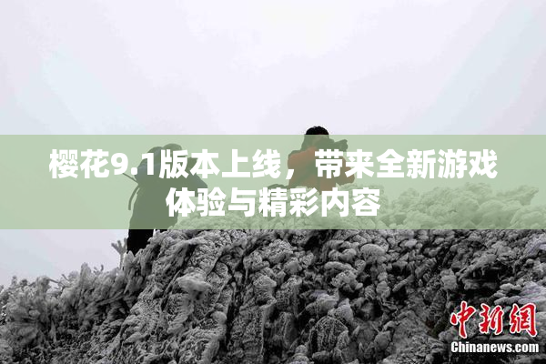 樱花9.1版本上线，带来全新游戏体验与精彩内容