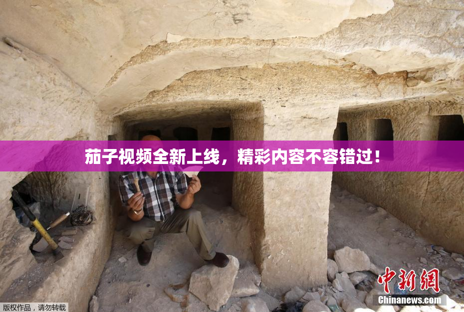 茄子视频全新上线，精彩内容不容错过！