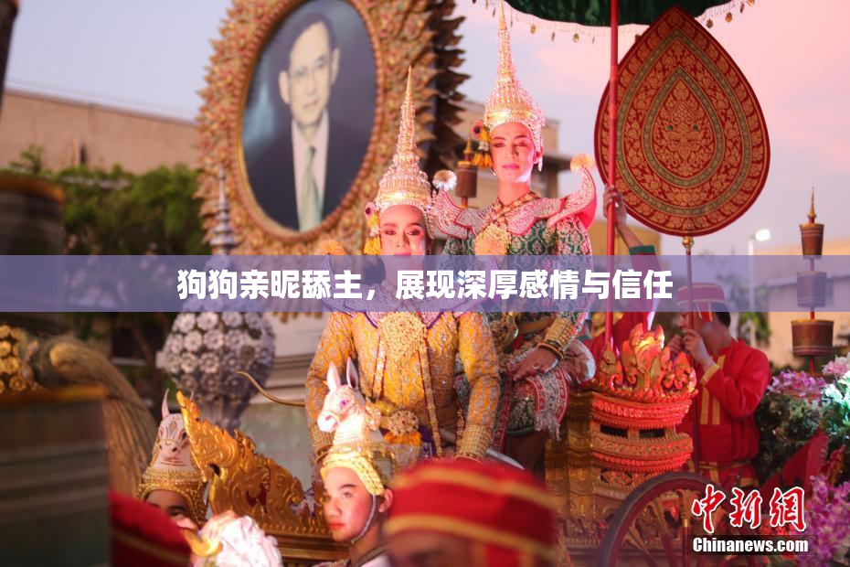 狗狗亲昵舔主，展现深厚感情与信任