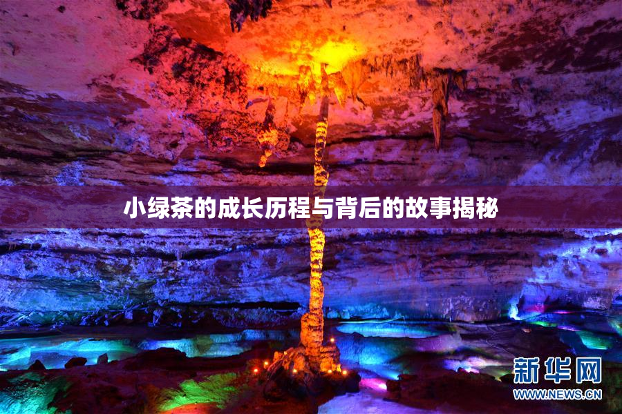 小绿茶的成长历程与背后的故事揭秘