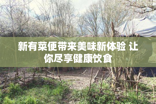 新有菜便带来美味新体验 让你尽享健康饮食