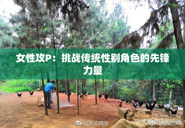 女性攻P：挑战传统性别角色的先锋力量