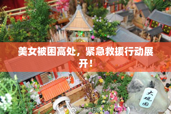 美女被困高处，紧急救援行动展开！