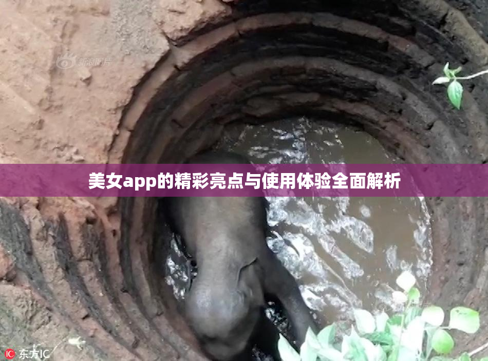 美女app的精彩亮点与使用体验全面解析