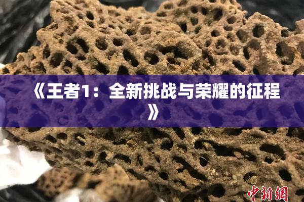 《王者1：全新挑战与荣耀的征程》