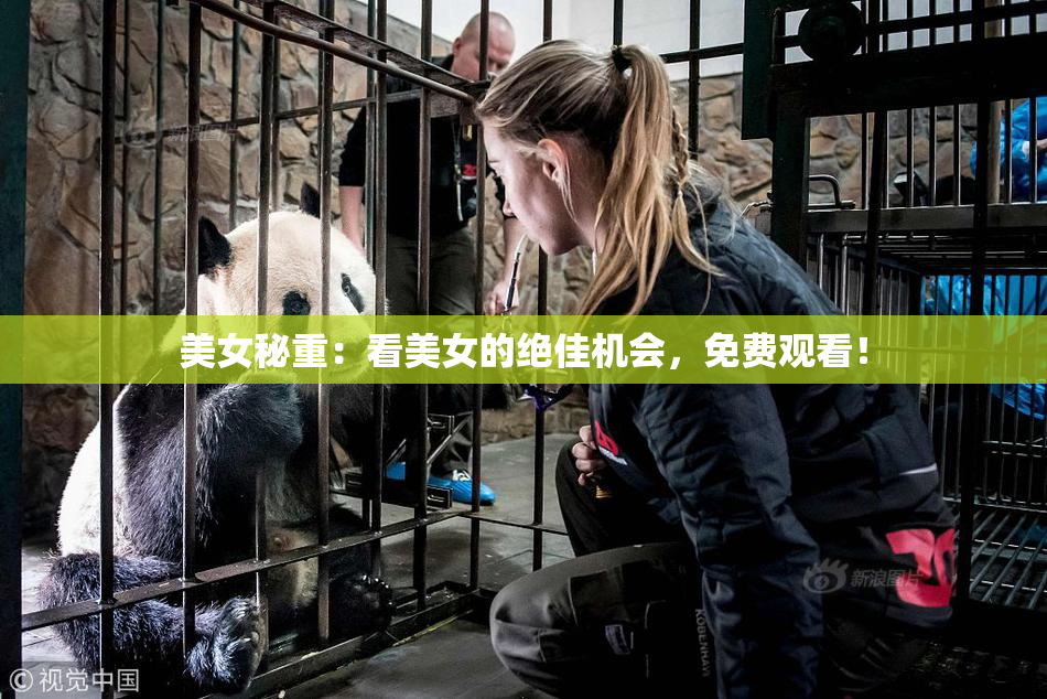美女秘重：看美女的绝佳机会，免费观看！